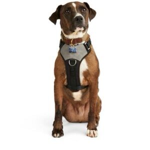 Dog Harness